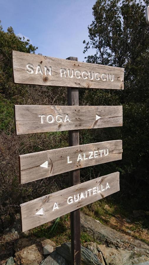 A Tana Di A Volpe Ville-di-Pietrabugno Exterior foto