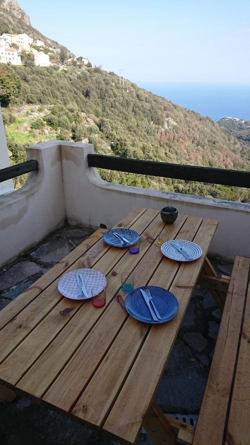 A Tana Di A Volpe Ville-di-Pietrabugno Exterior foto