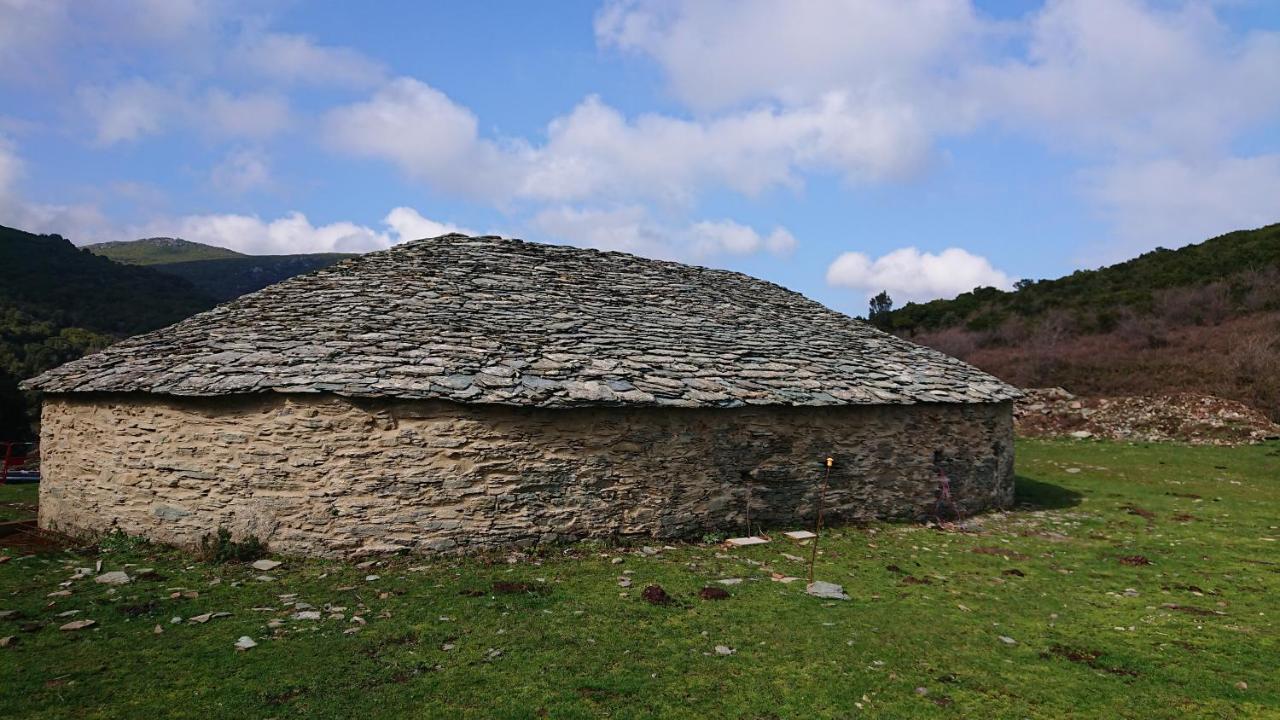 A Tana Di A Volpe Ville-di-Pietrabugno Exterior foto