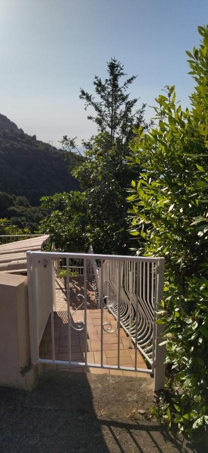 A Tana Di A Volpe Ville-di-Pietrabugno Exterior foto